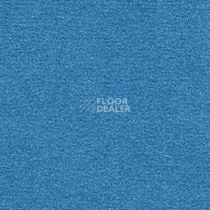 Ковролин Radici Nexus Laguna 8265 фото 1 | FLOORDEALER